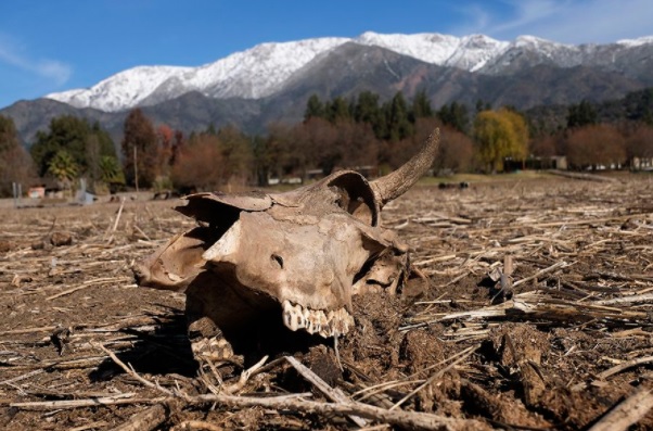 Sequía histórica: 53% de comunas están bajo decreto de escasez hídrica